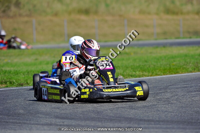 DSC_ (1285).jpg